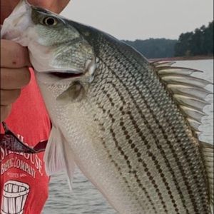 Meet your Posher, Scott